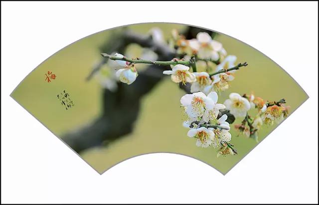 微信圖片_20180314150149.jpg 微信圖片_20180314150149.jpg