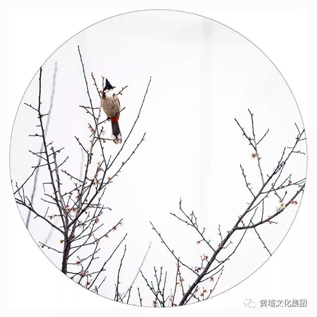 微信圖片_20180314150252.jpg 微信圖片_20180314150252.jpg