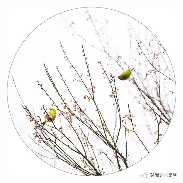 微信圖片_20180314150304.jpg 微信圖片_20180314150304.jpg