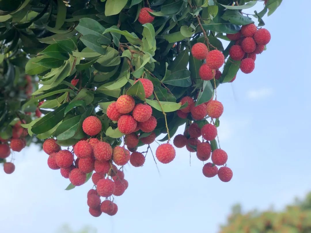 微信圖片_20210625144533.jpg 微信圖片_20210625144533.jpg