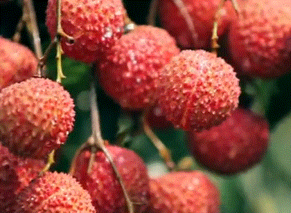 微信圖片_20210625161626.gif 微信圖片_20210625161626.gif