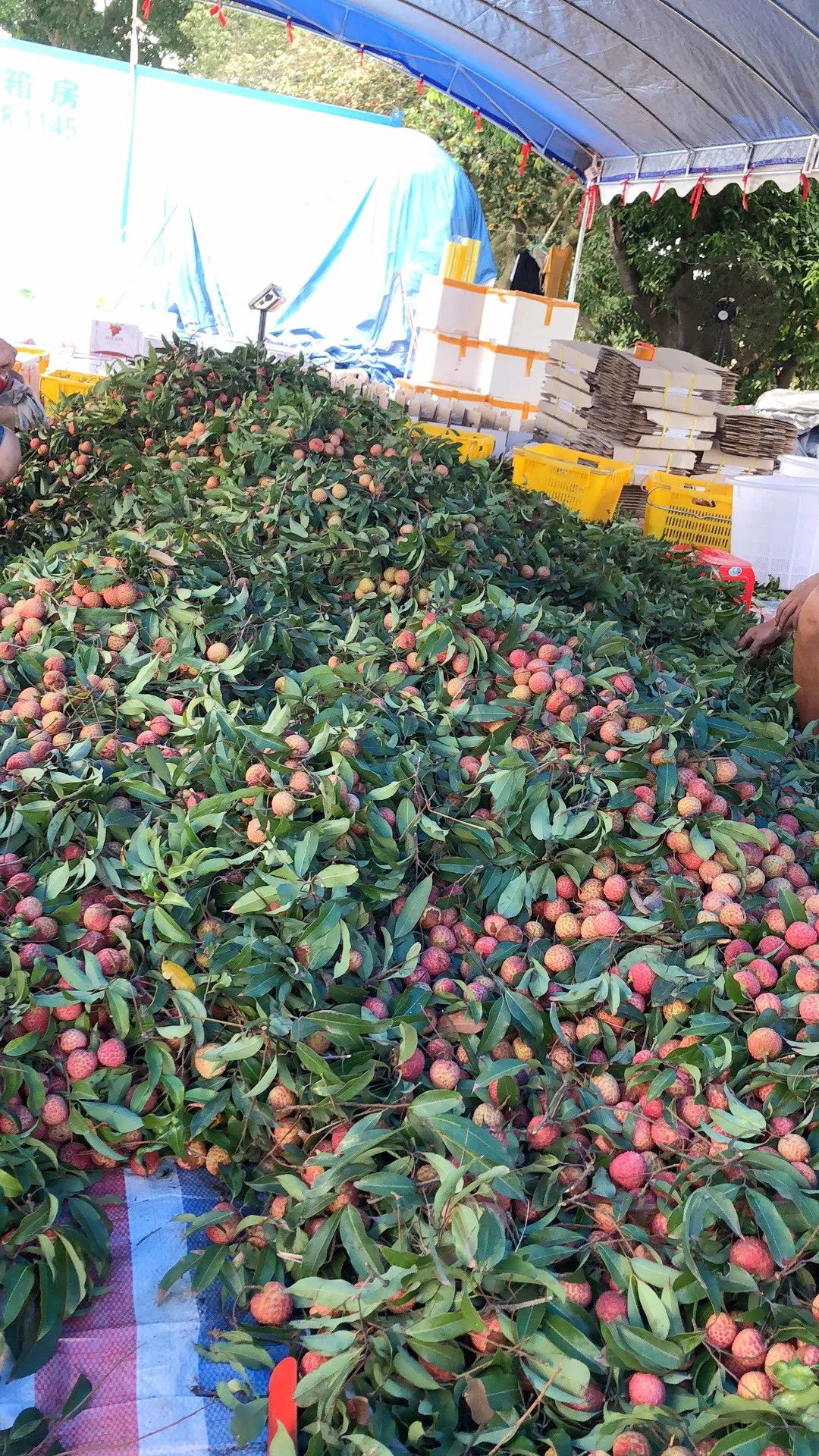 微信圖片_20210625163720.jpg 微信圖片_20210625163720.jpg