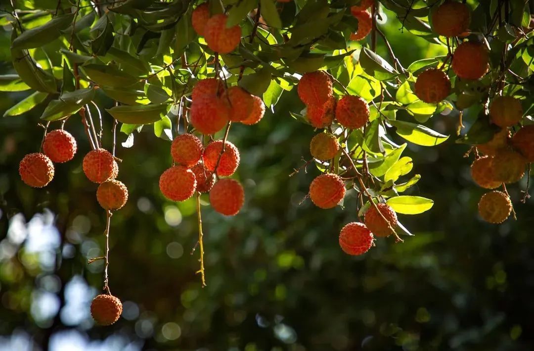 微信圖片_20210628100030.jpg 微信圖片_20210628100030.jpg